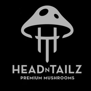 HEADNTAILZ